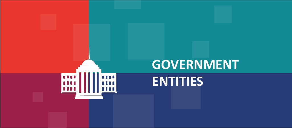 Government Entities